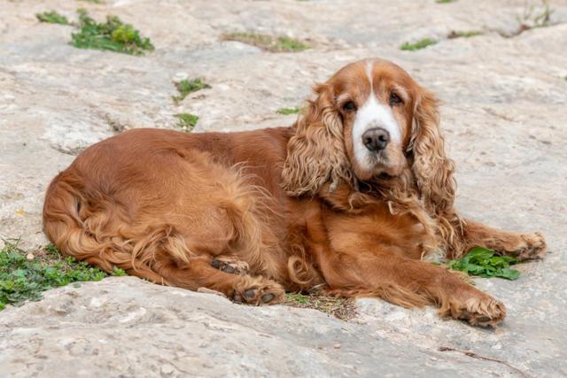 Dimore Del Valentino Sampieri Εξωτερικό φωτογραφία